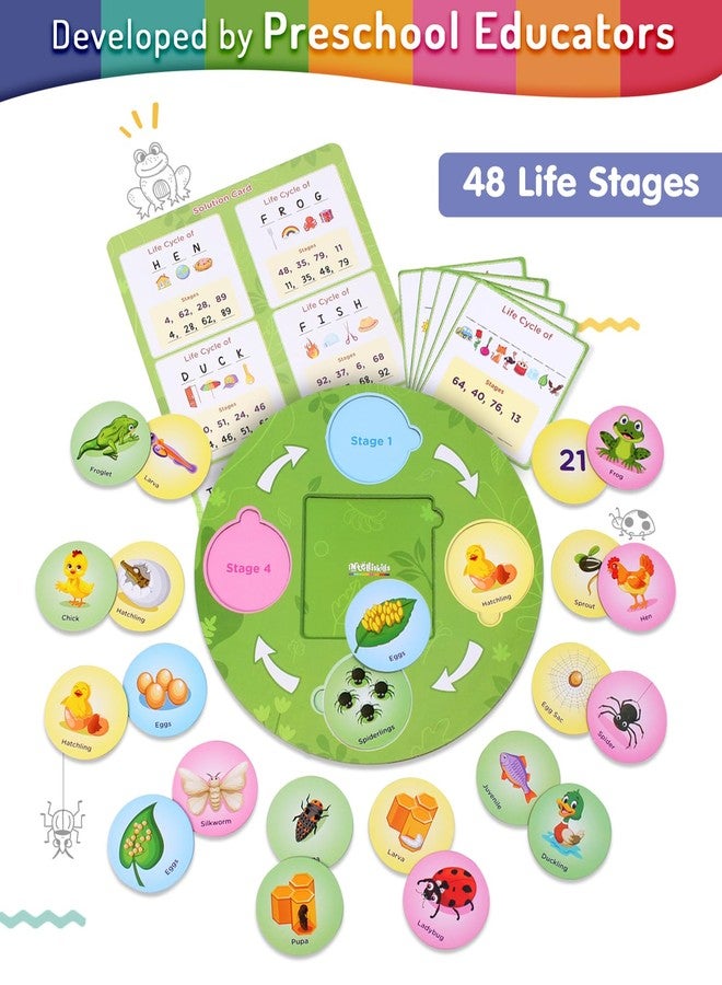 FIRSTCRY INTELLISKILLS Premium 63 Pcs Life Cycle Puzzle for Kids | Fun Way to Learn Life Cycle of 12 Birds, Insects & Animals | Preschool Educational Pick & Place Card Game for Boys & Girls | 3+ Years - Image 2